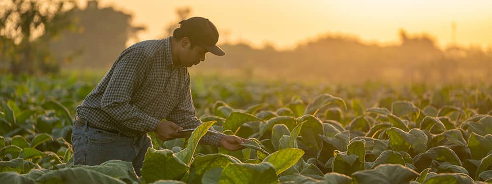 Small business loans for agriculture businesses made easy