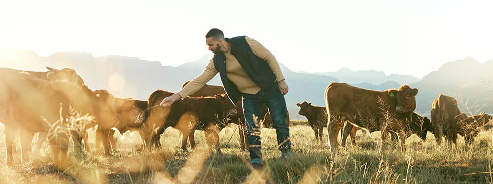 The ways you can use a farm loan