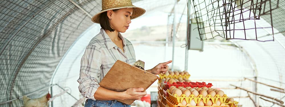 What agriculture business loans are